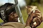 Spiritual Rats, amagudwane with money spells +27635620092, powerful sangoma